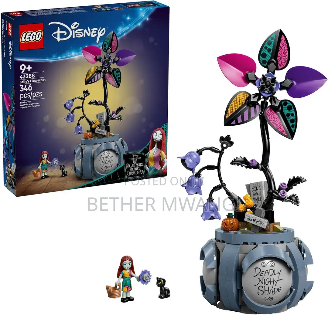 Lego Disney Sally's Flower Pot in Kenya