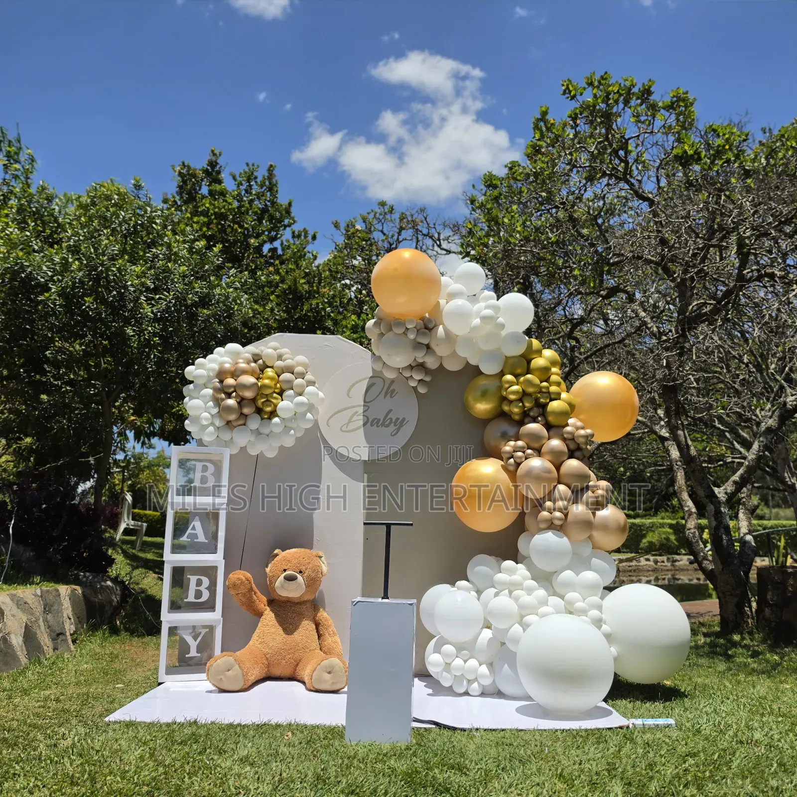 Gender Reveal Decor