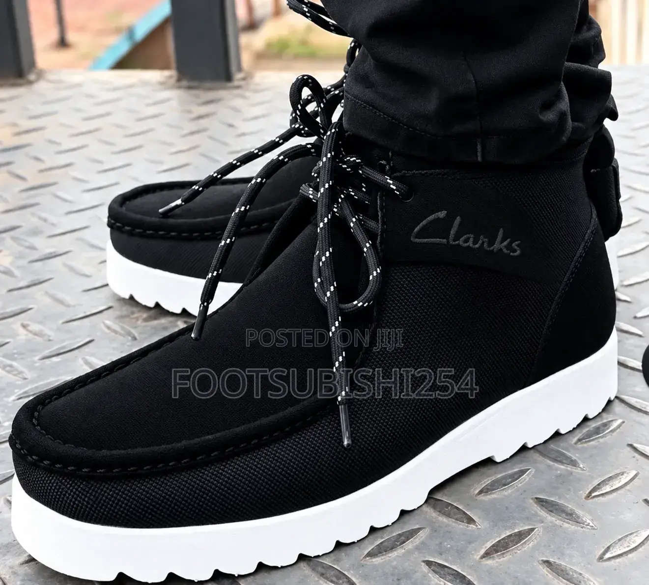 Clark’s Wallabies