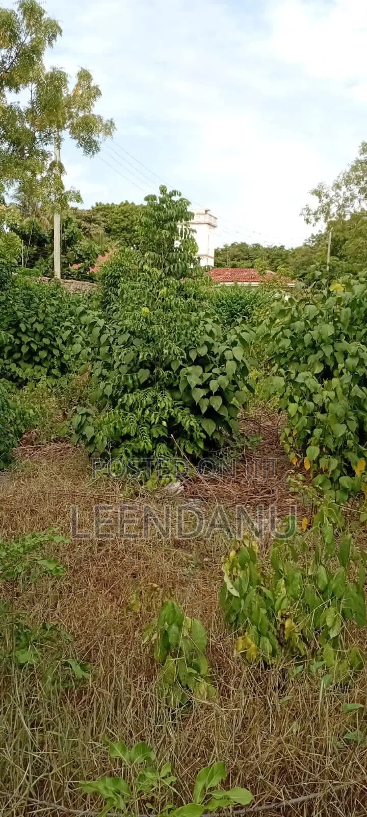 1/2 Acre Residential Plot