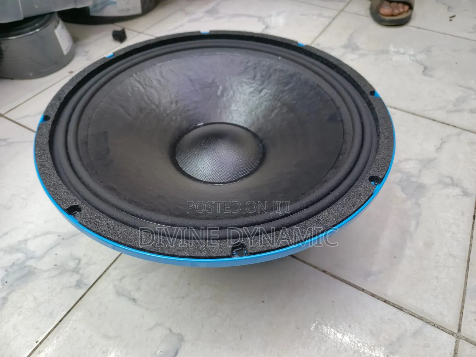 Naked Speaker Derwel 15" De 600