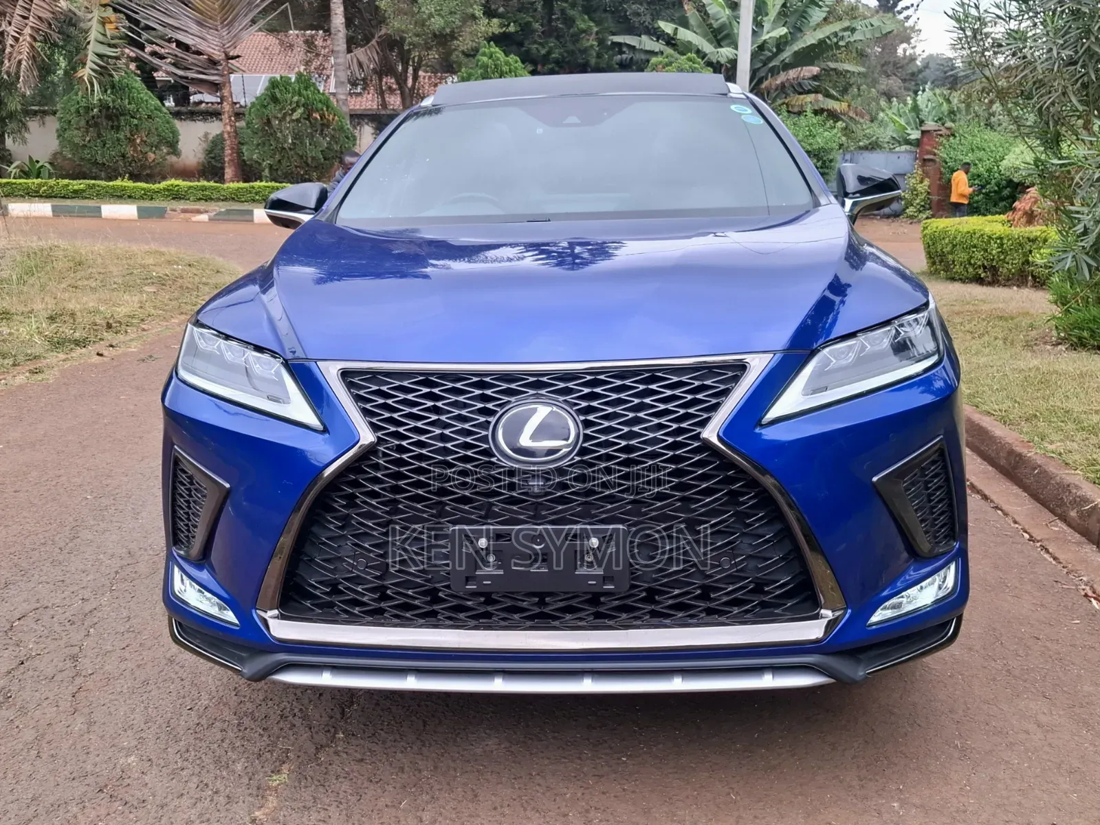 Lexus RX 300 4WD 2020 Blue
