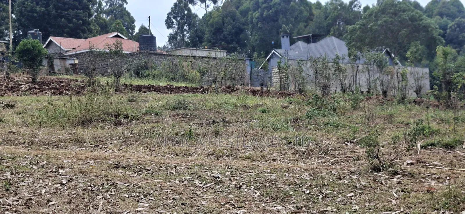 50×100 Plot for Sale – Kamuguga, Next to Zambezi