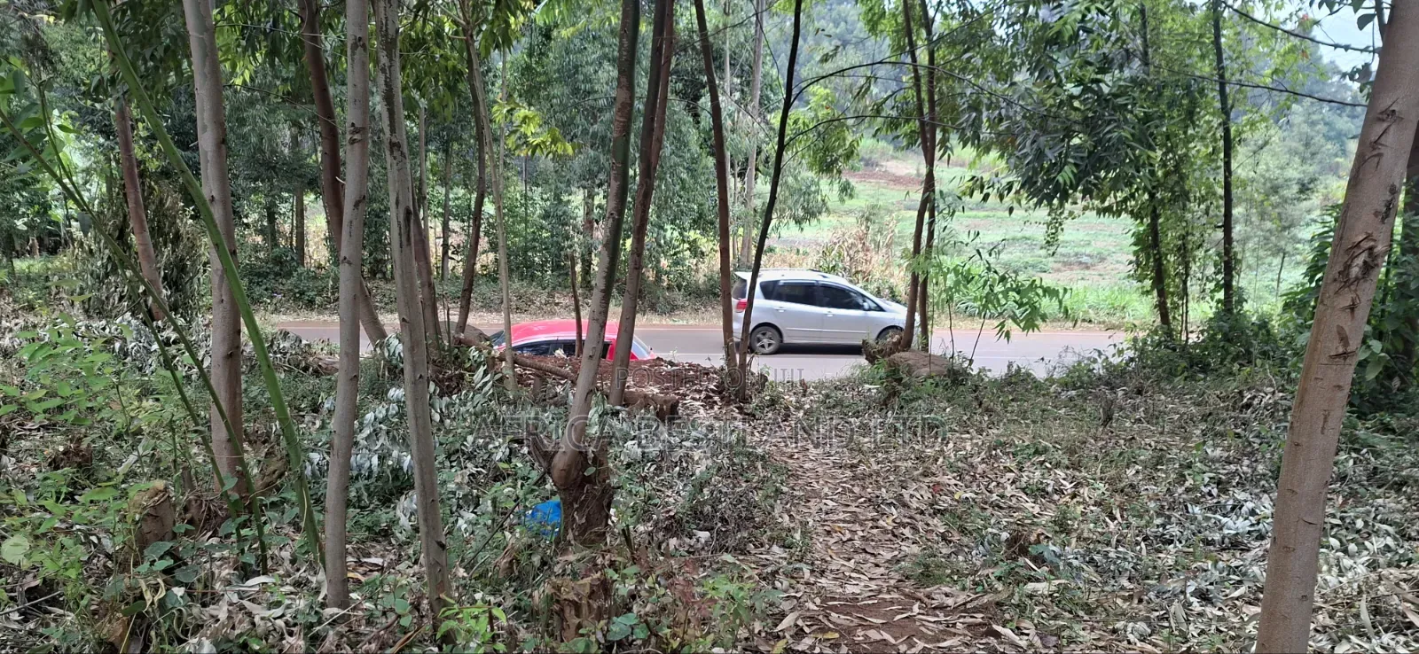 50×100 Plot for Sale – Kamuguga, Next to Zambezi
