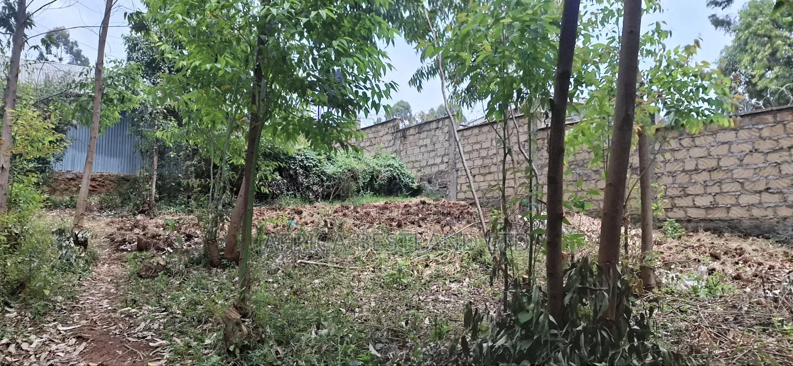 50×100 Plot for Sale – Kamuguga, Next to Zambezi