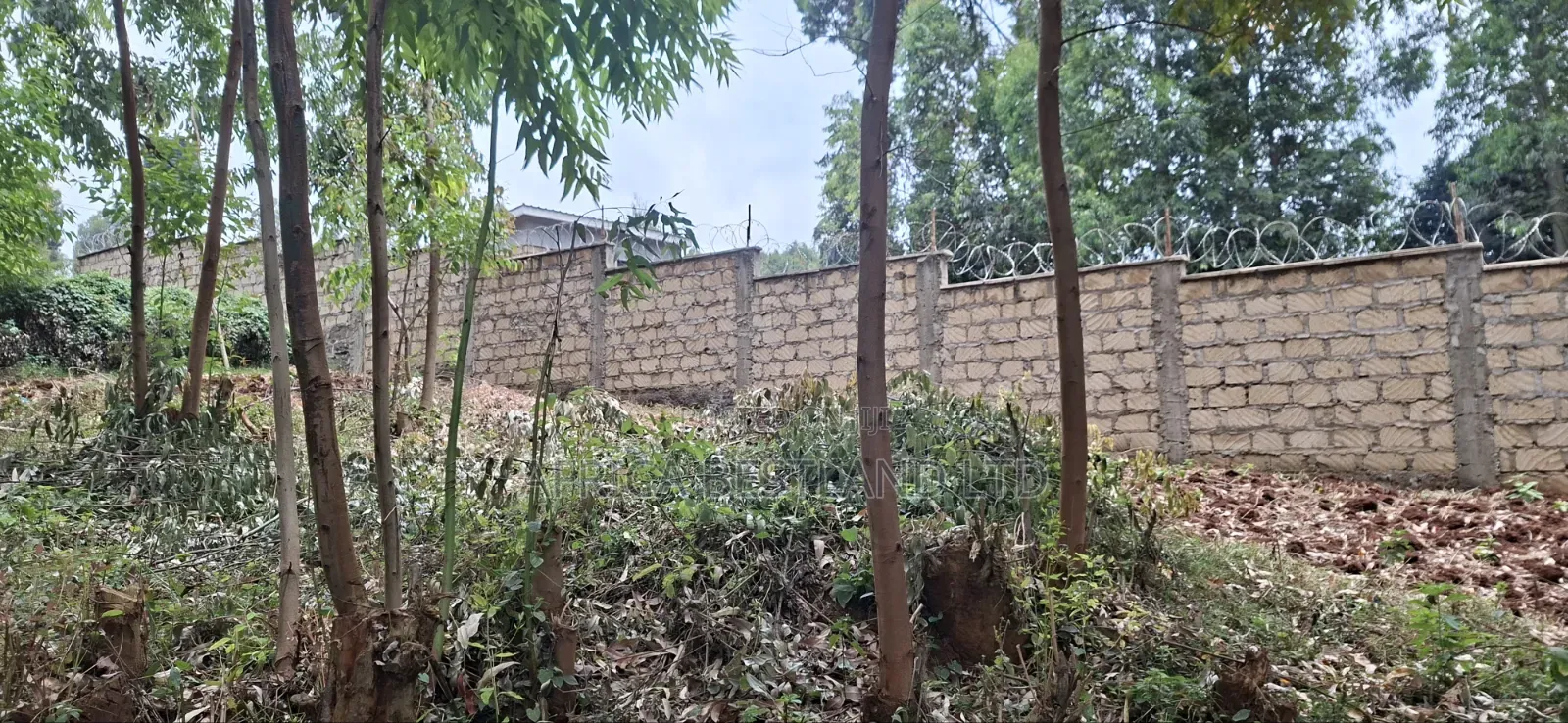 50×100 Plot for Sale – Kamuguga, Next to Zambezi