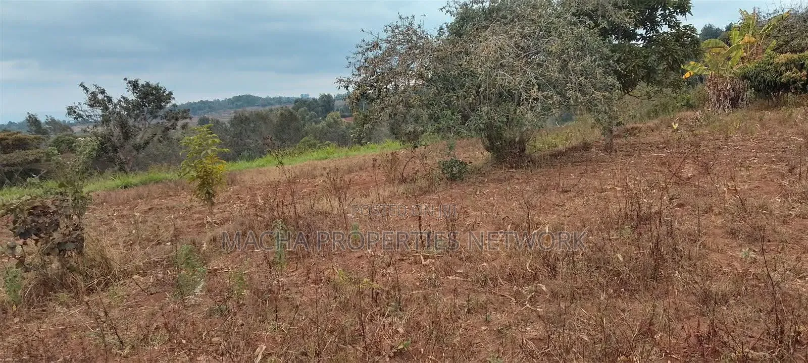 3/4 Acre Plot- Mua Hills Syasila
