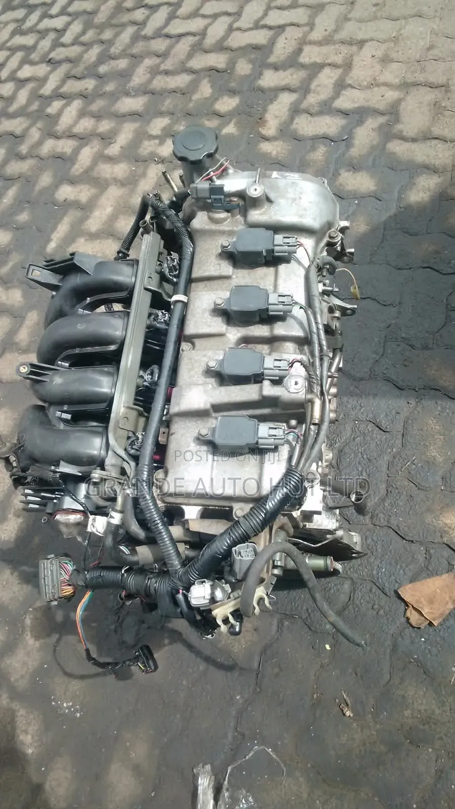 Verisa Zy Engine