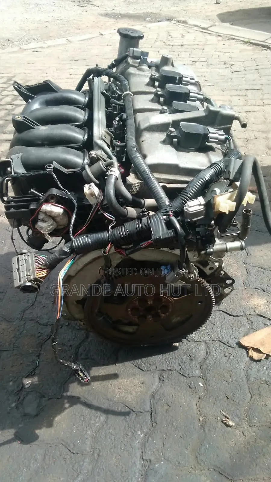 Verisa Zy Engine