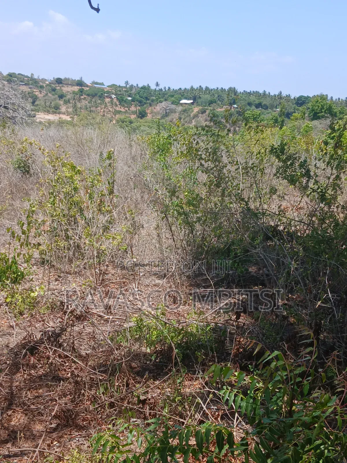5 Acres Forsale in Kilifi Takaungu