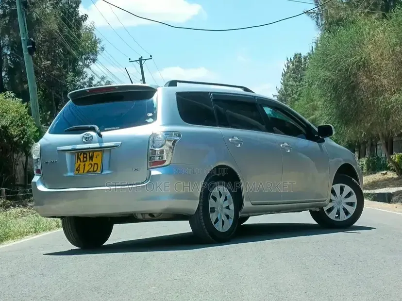 Toyota Corolla Fielder 2008 Silver