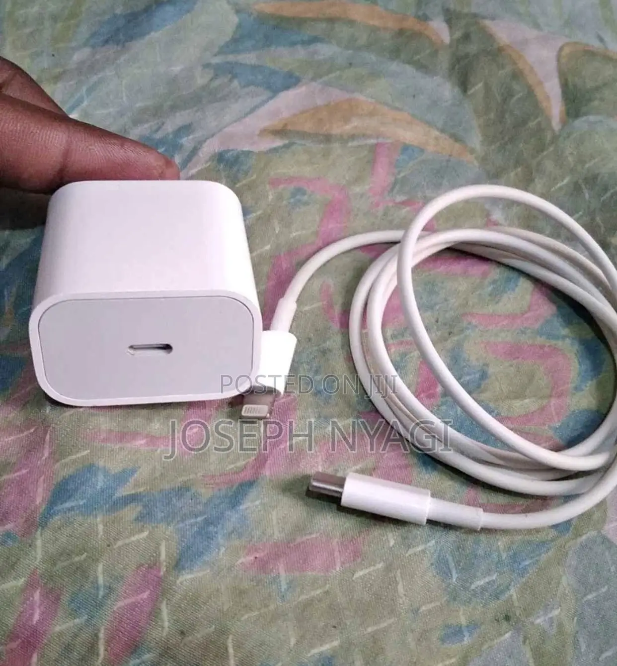 Apple iPhone Charger
