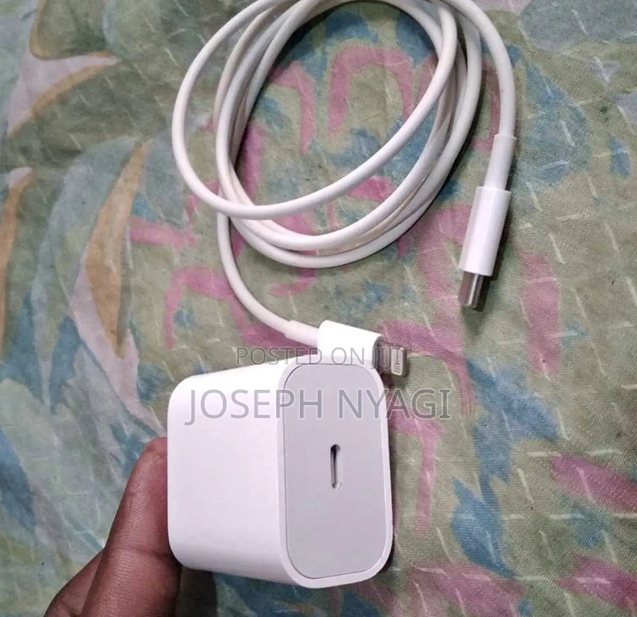 Apple iPhone Charger