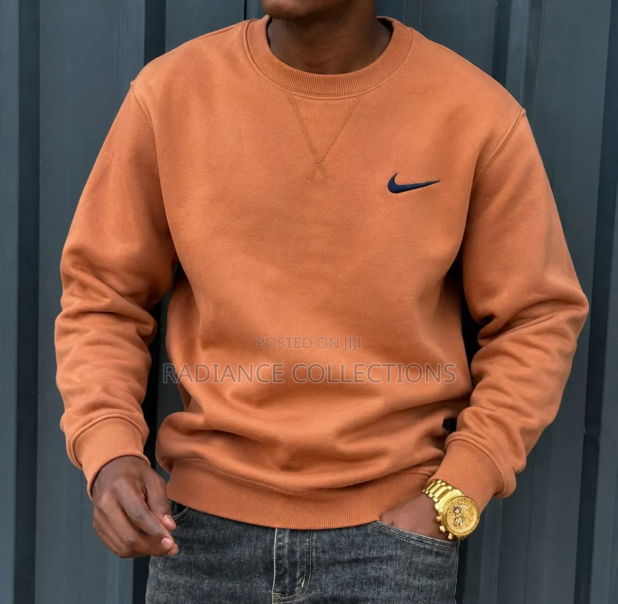 Nike Sweatshirts (L-3xl)