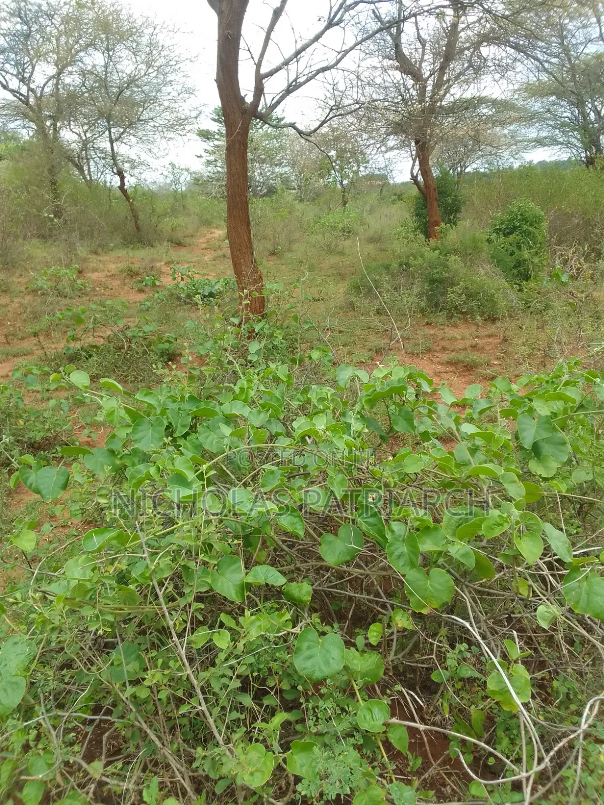 2 Acres Machakos Katangi Selling at . Per Acre