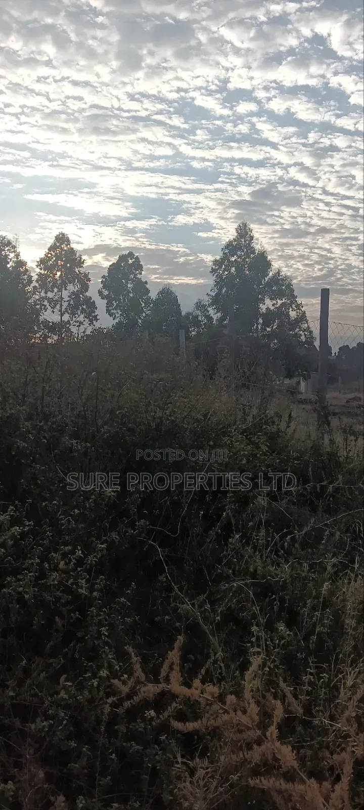 100x100 Prime Plot Kamangu Thigio