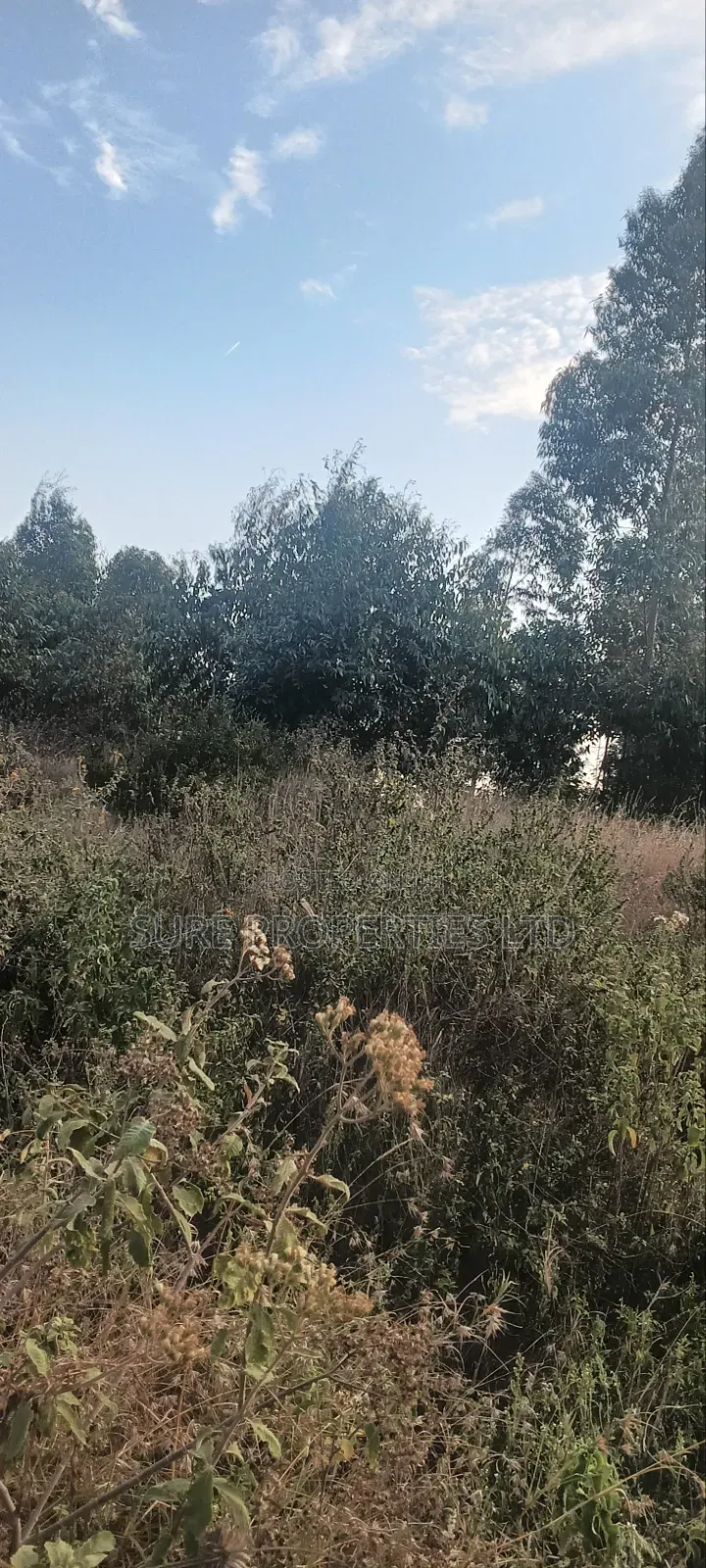 100x100 Prime Plot Kamangu Thigio