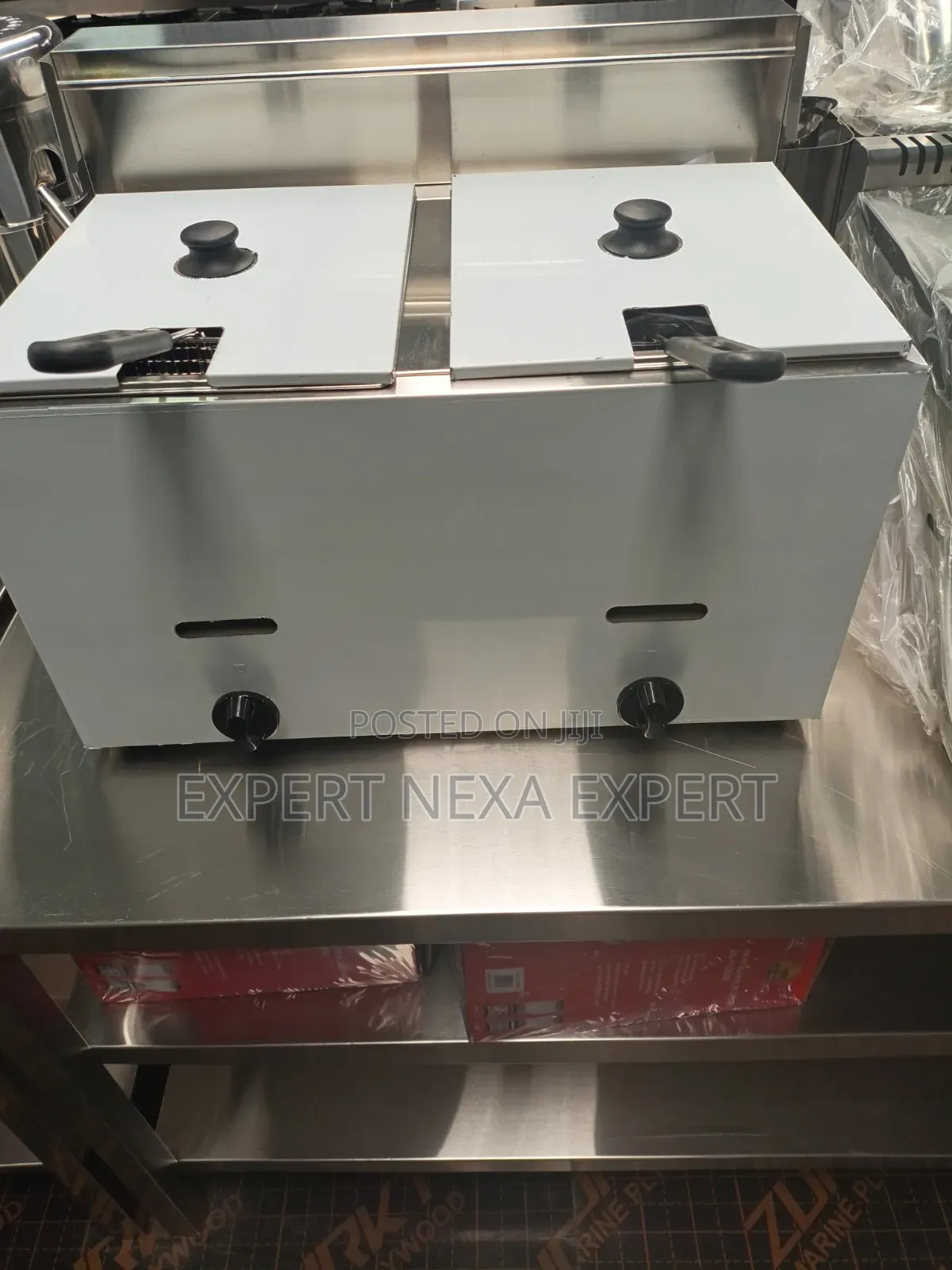 Double Gas Cooker Fryer