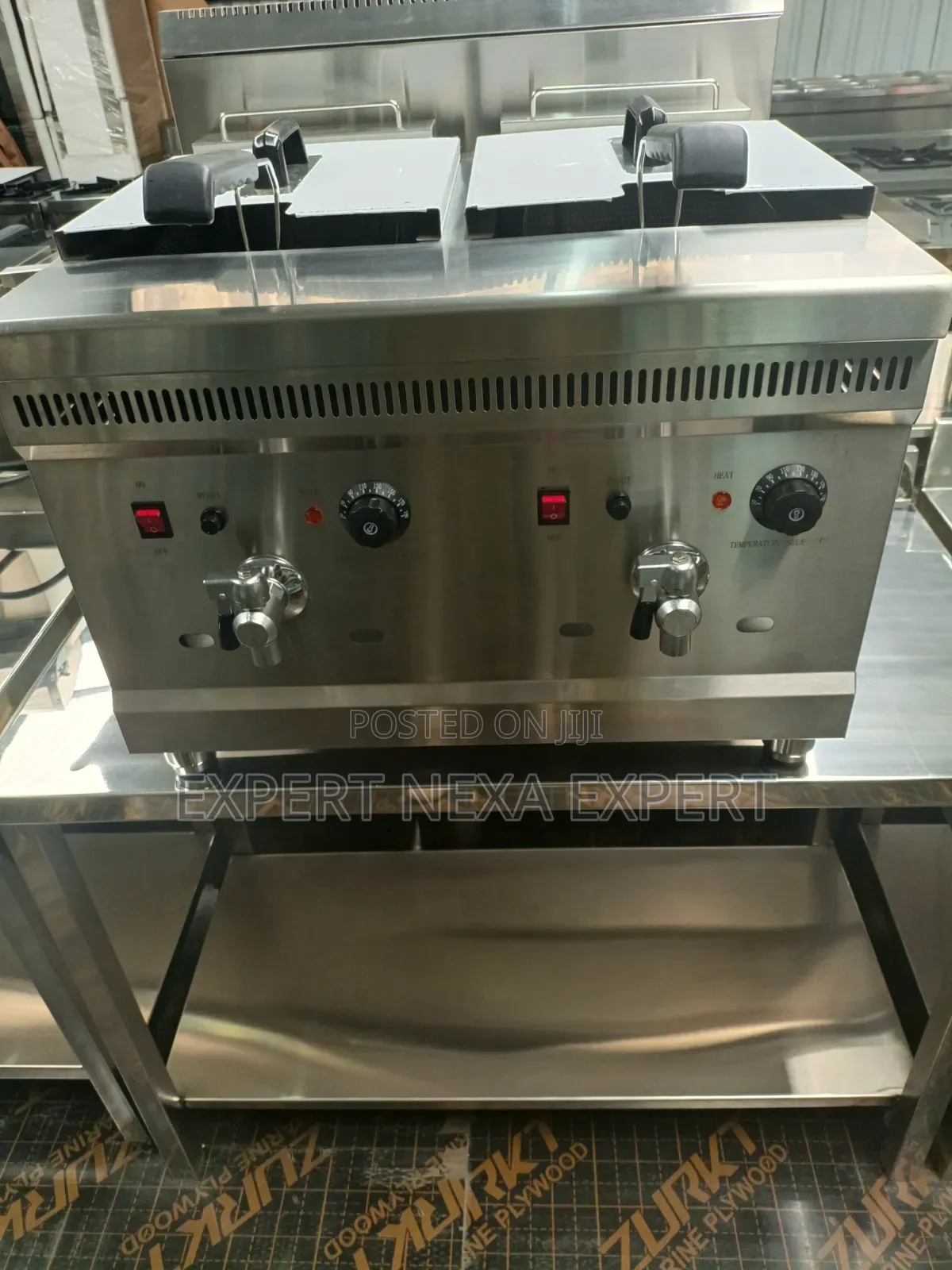 Double Gas Cooker Fryer