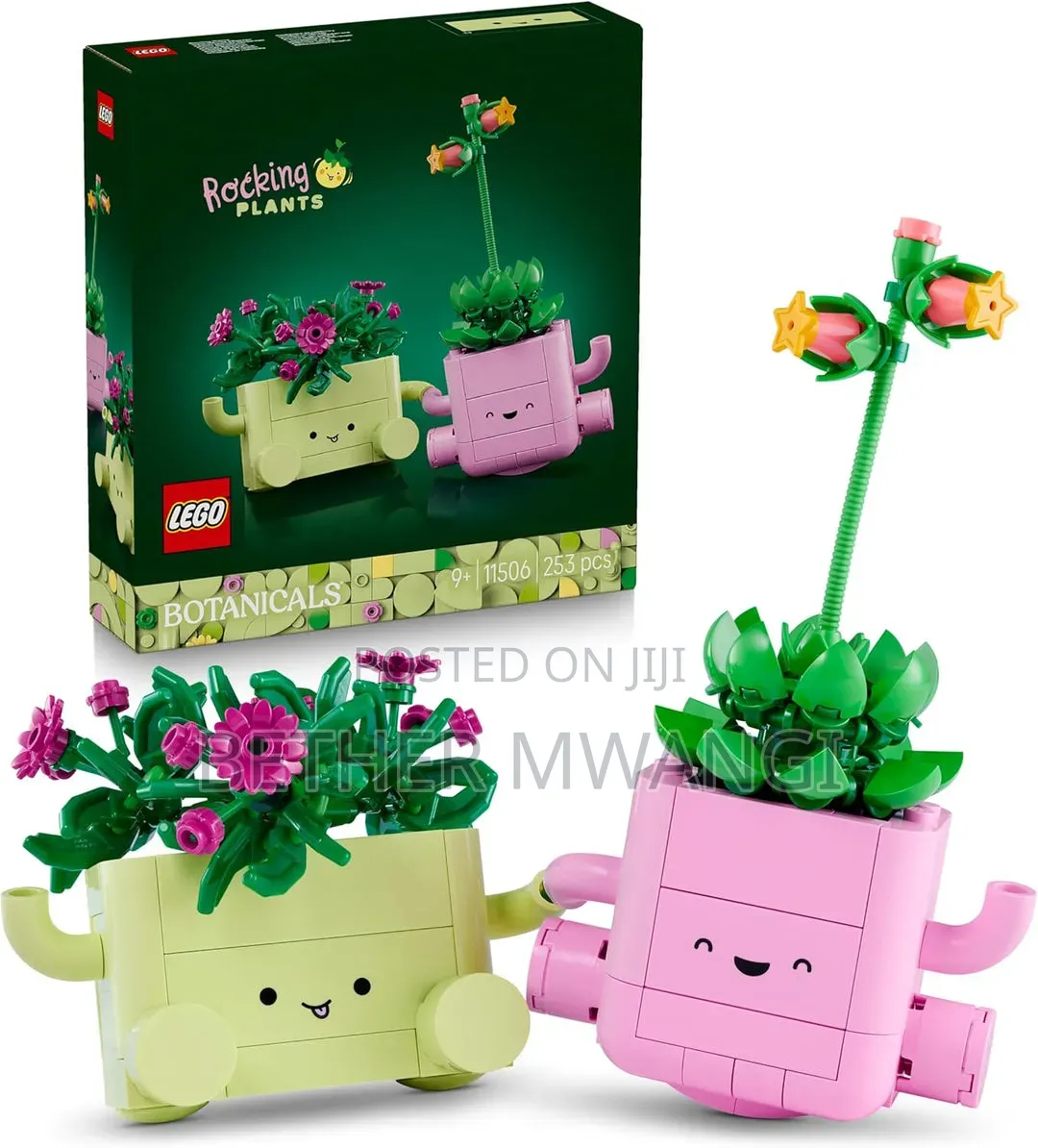 Lego ROCKING PLANTS in Kenya