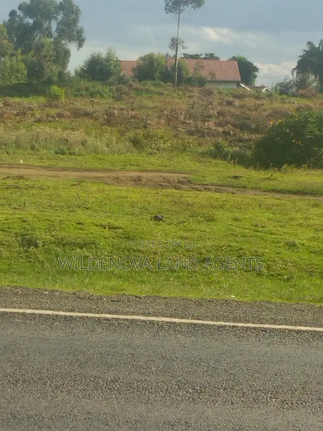 1/4acre On Sale At Kinungi Naivasha