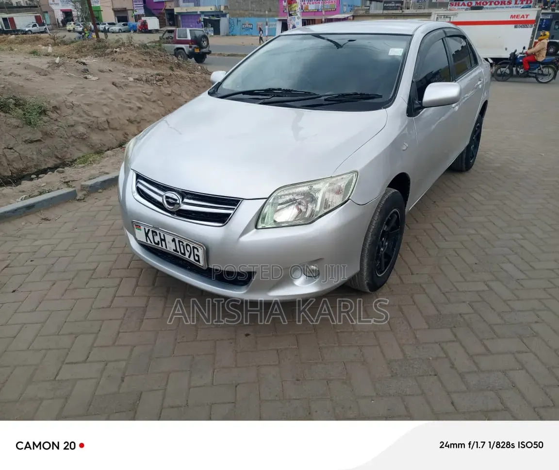 Toyota Axio 2009 Silver