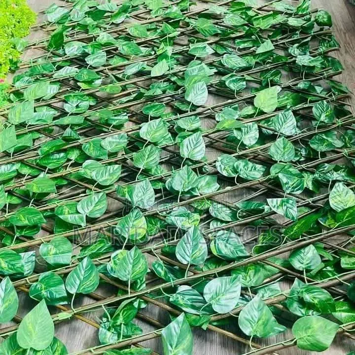 Instant Green Leaf for Your Balconies,walls and Birthdays