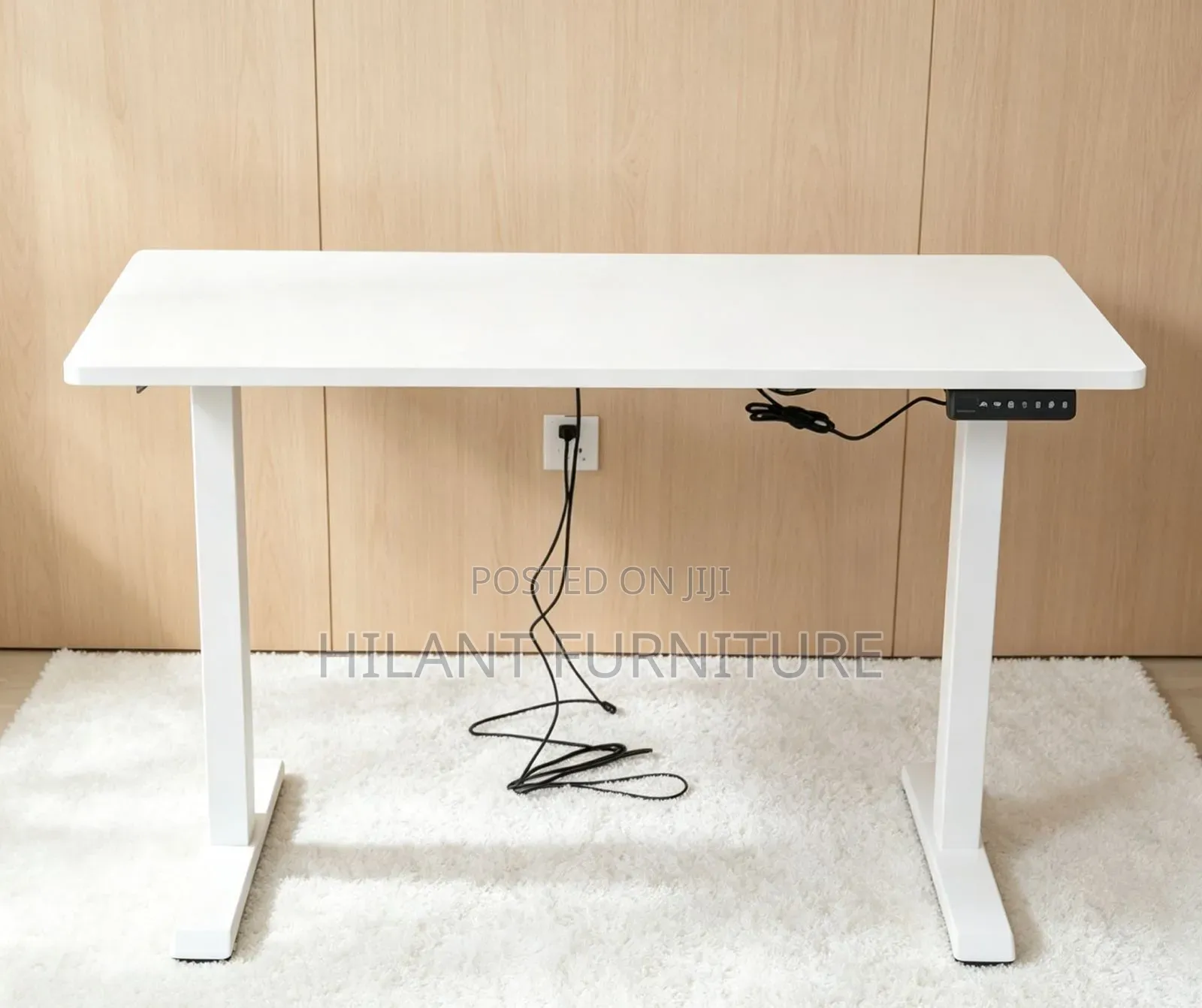1.2M Electric Adjustable Office Desk | Motorized Sit-Stand Workstation