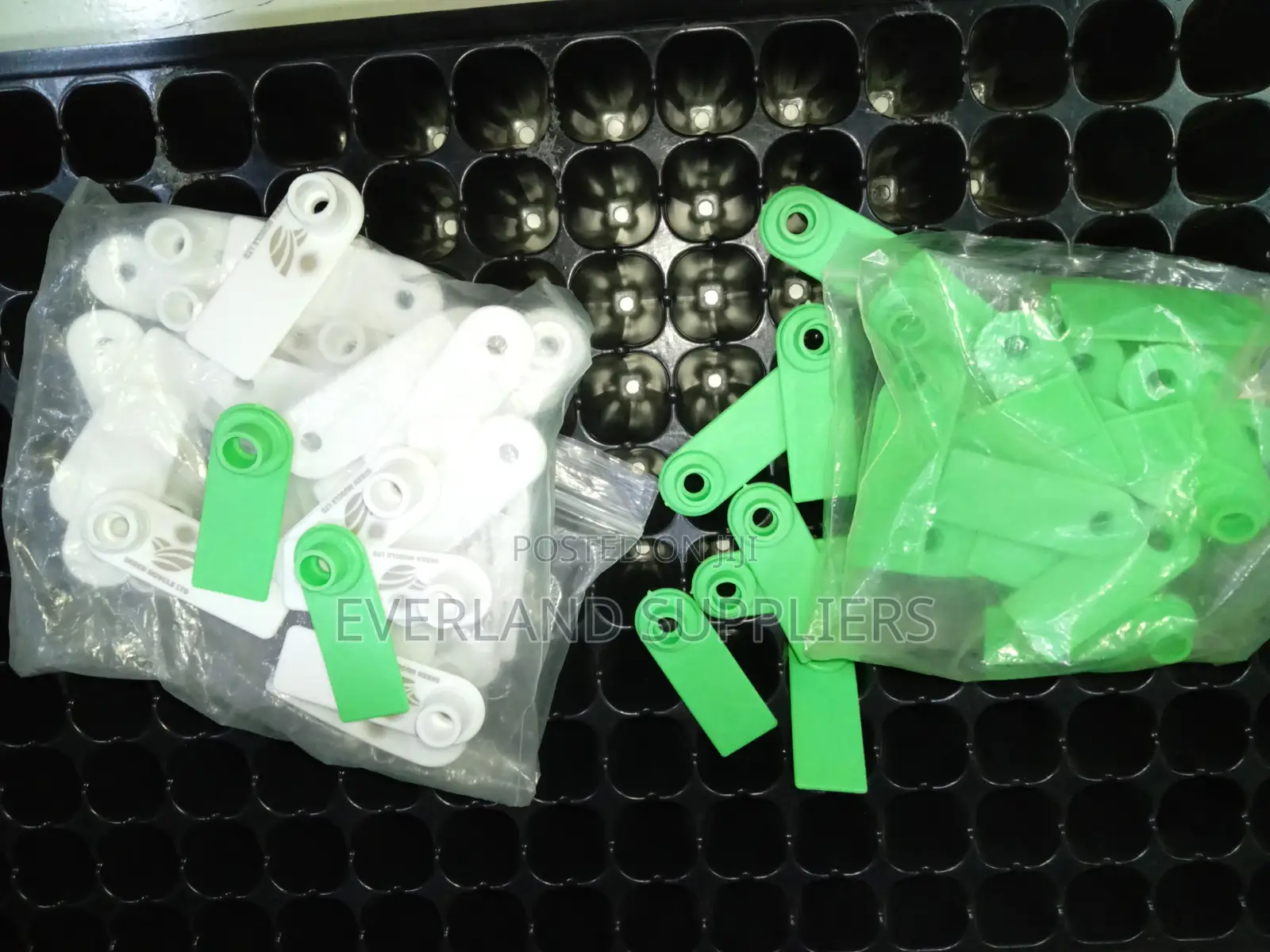 Ear Tags - Tracking Identification
