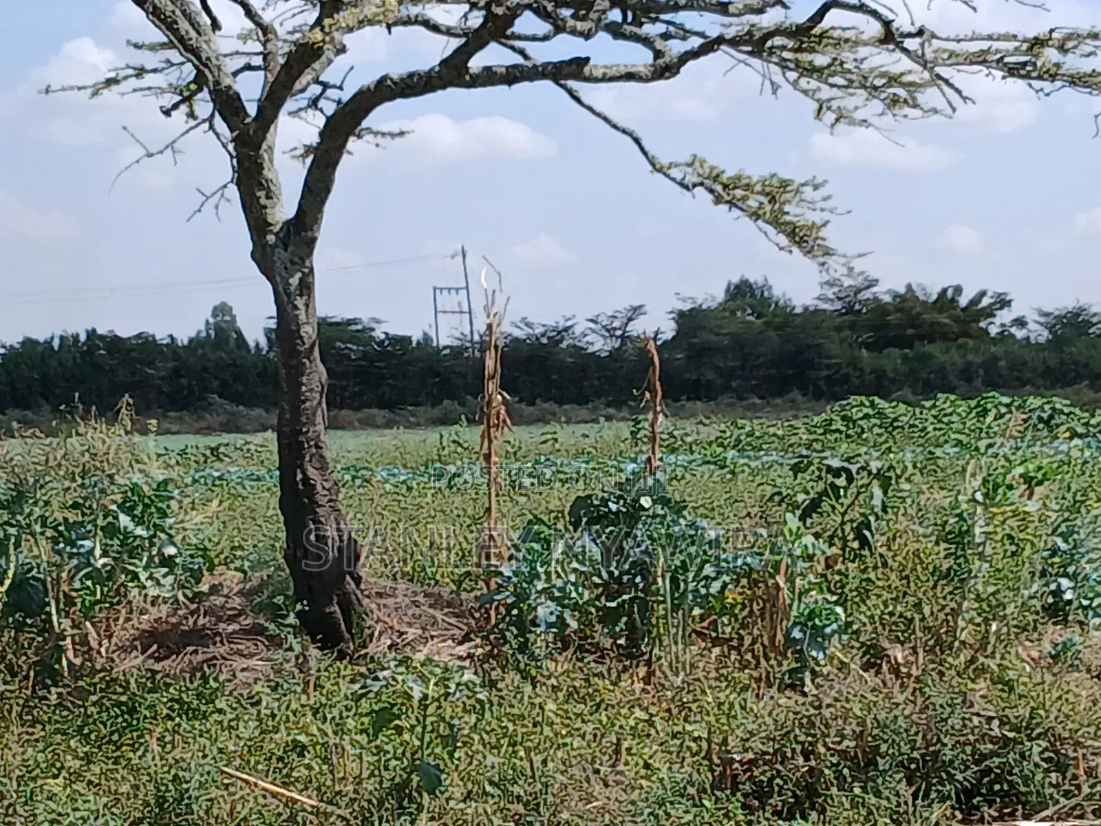 One Acrea Nanyuki Mukima