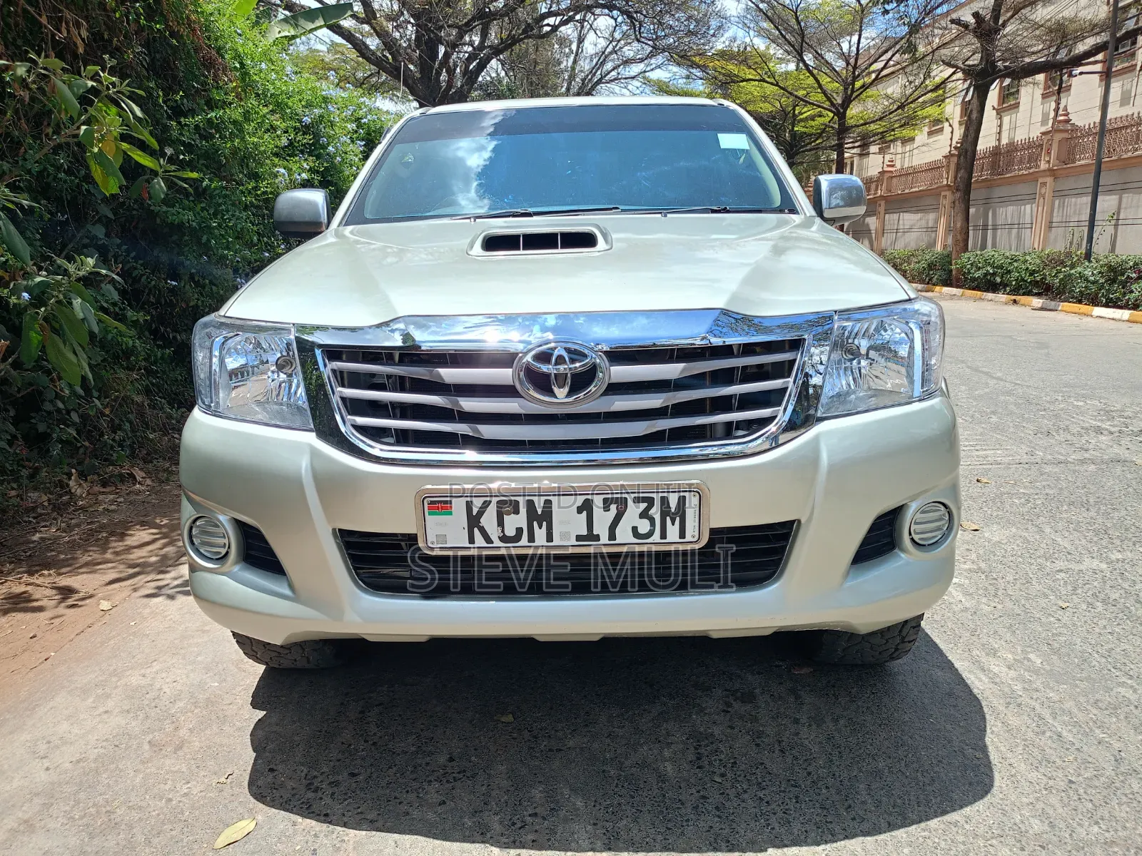 Toyota Hilux 2010 Brown