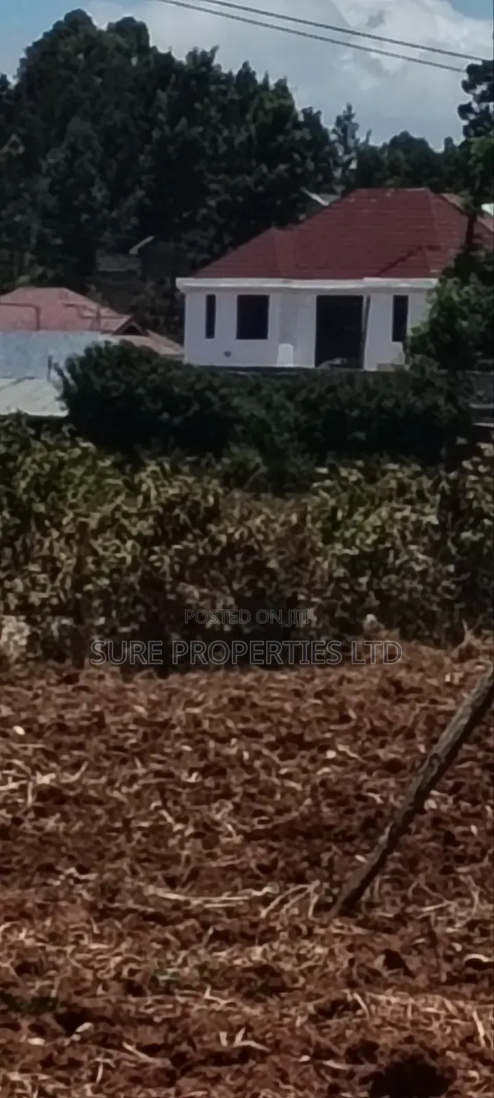 50x100 Prime Kikuyu Gikambura Plot