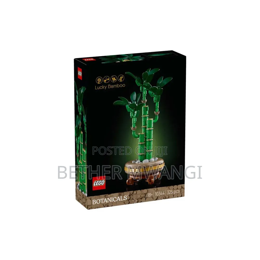 Lego LUCKY BAMBOO in Kenya