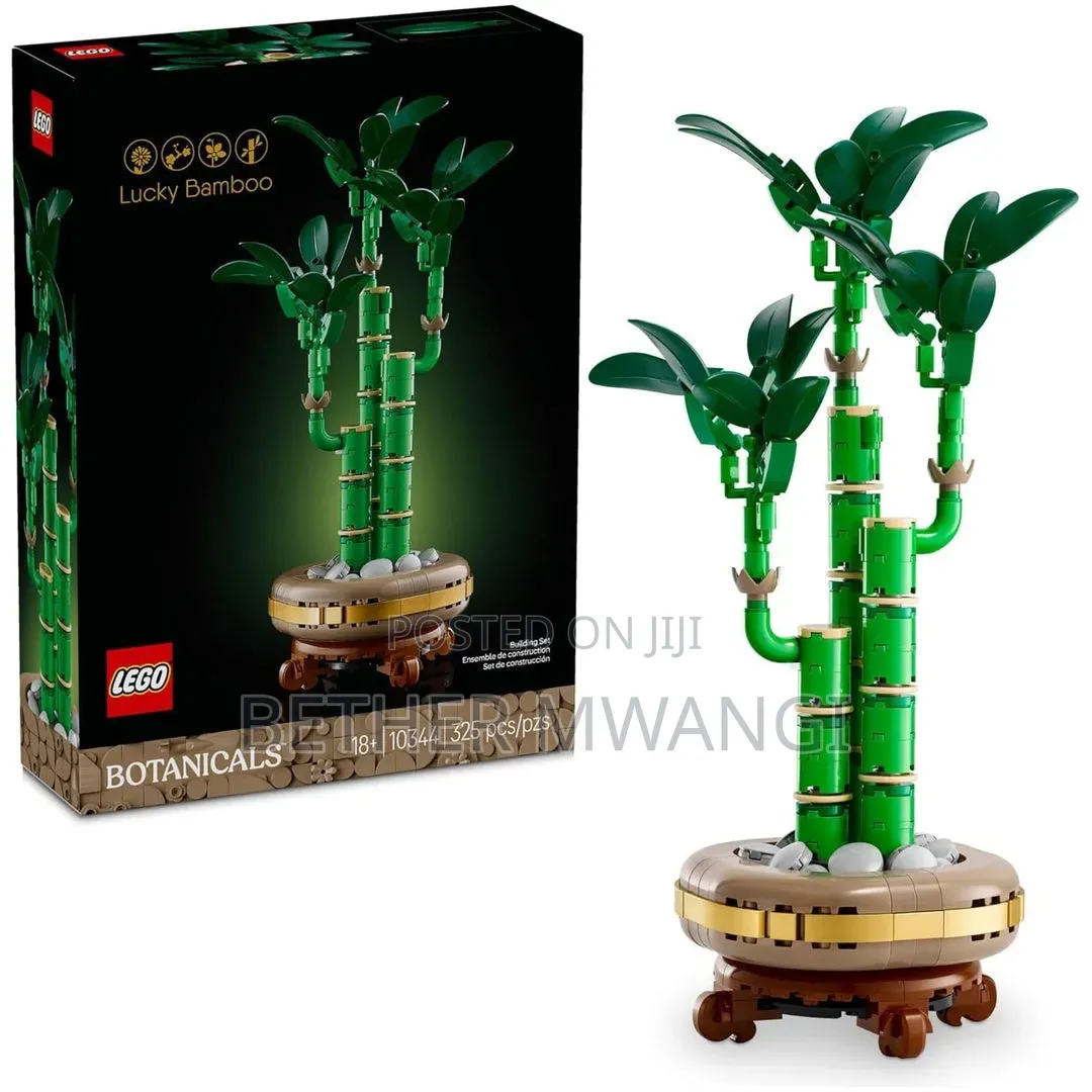 Lego LUCKY BAMBOO in Kenya