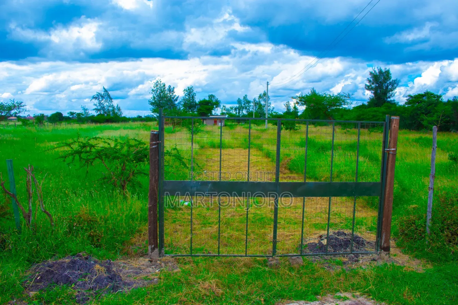 Affordable Jujafarm Plots