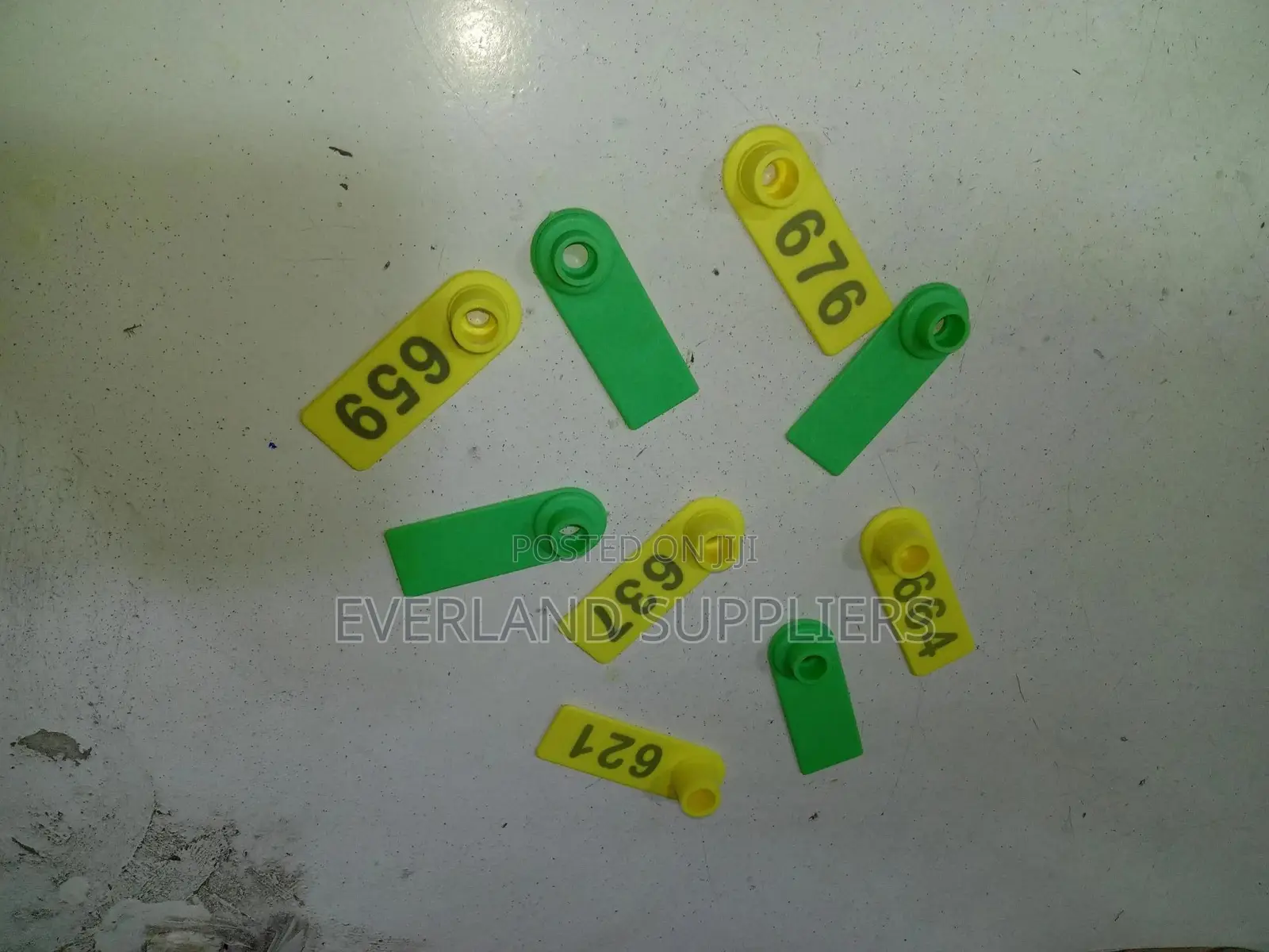 Ear Tags - Blank Slim