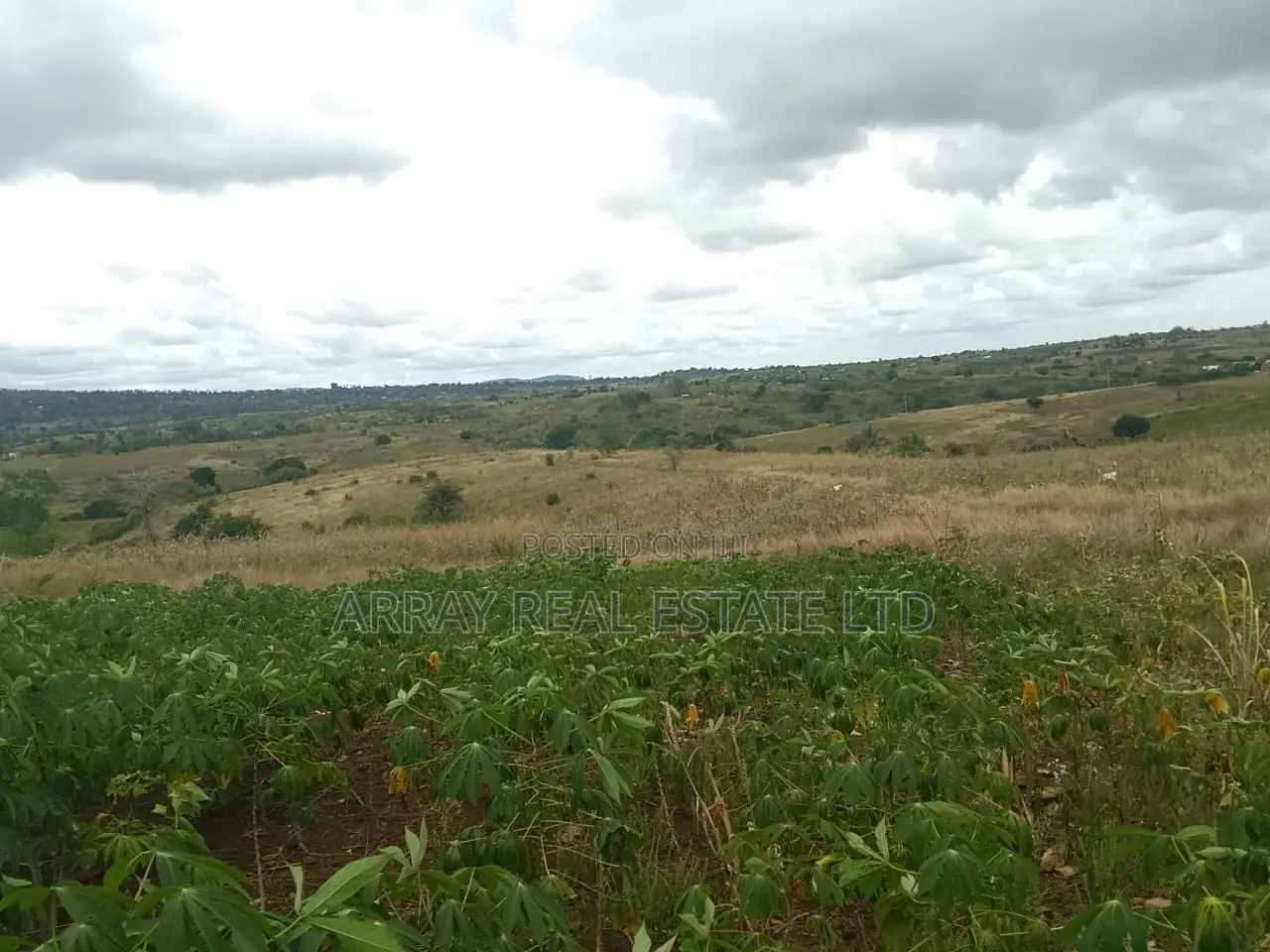 2.5 Acres Galu Kinondo 50M Per Acre