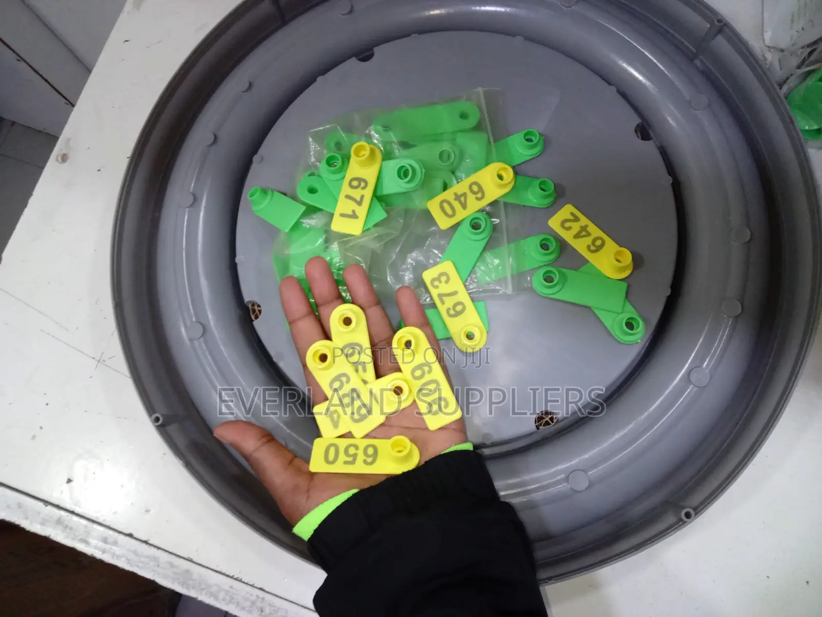 Ear Tags - Vibrant Colors