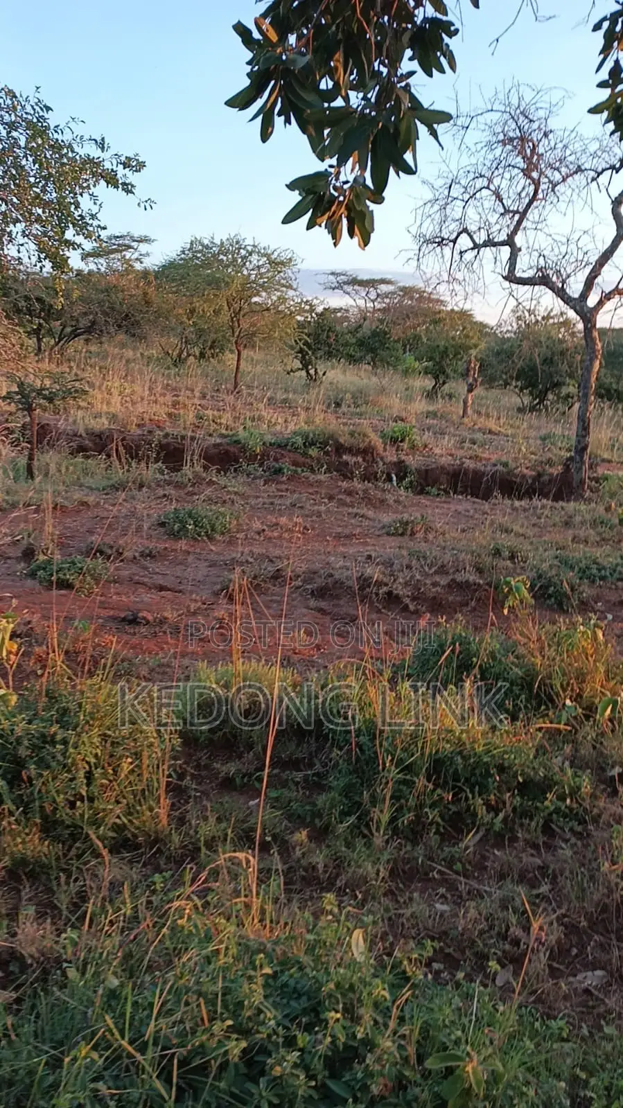 100 Acre Sultan Hamud Hills Ranch for Sale