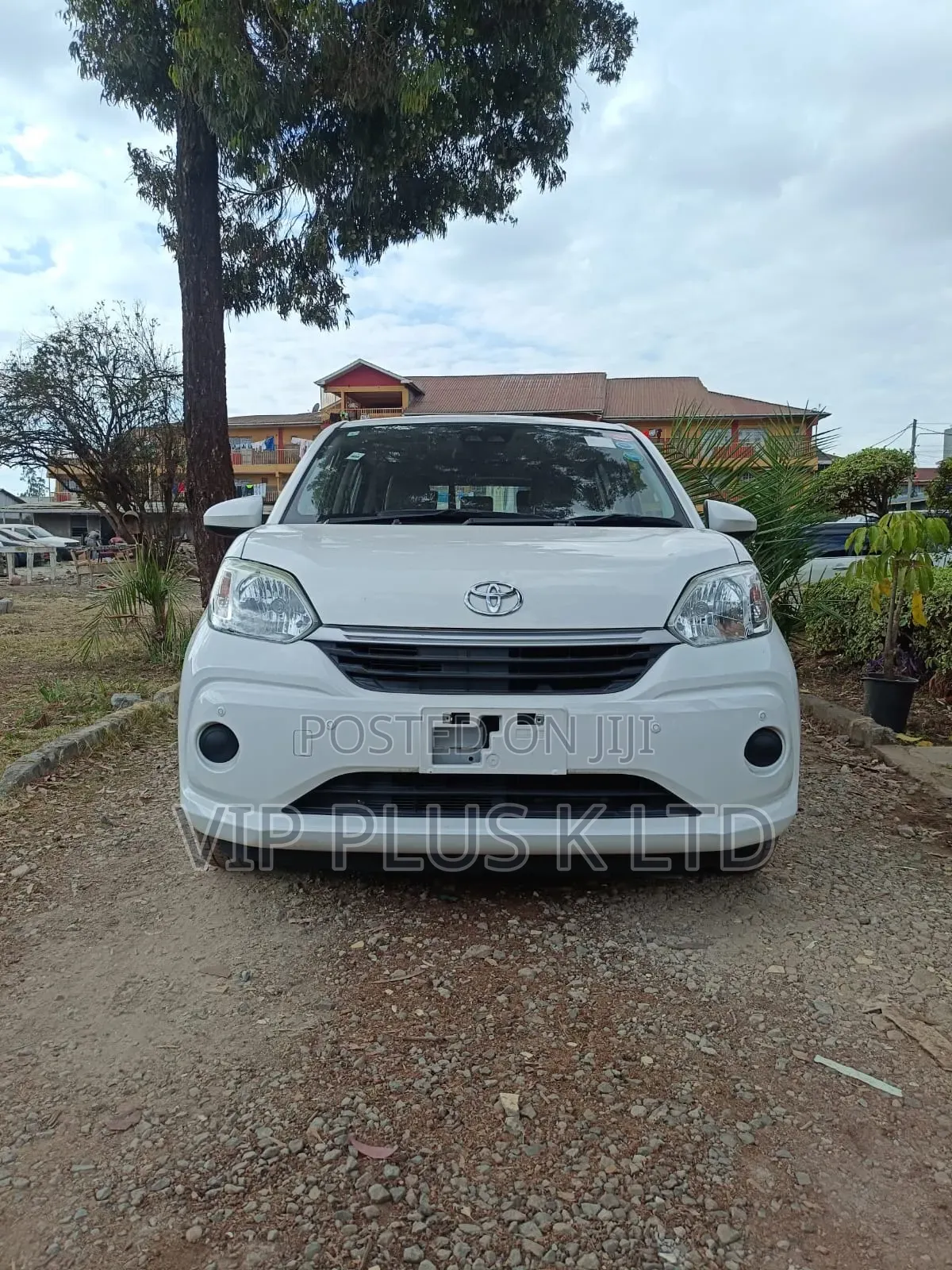 Toyota Passo 2019 White