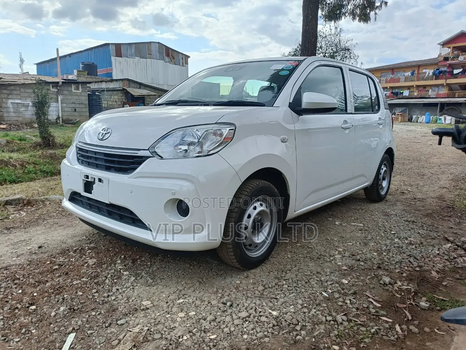 Toyota Passo 2019 White