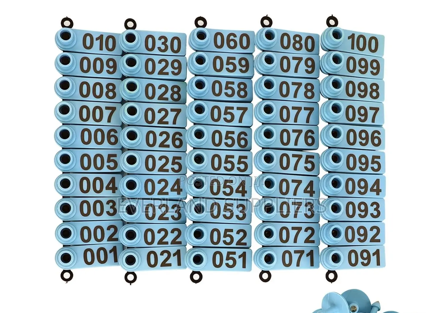 Ear Tags - High-Visibility Colors