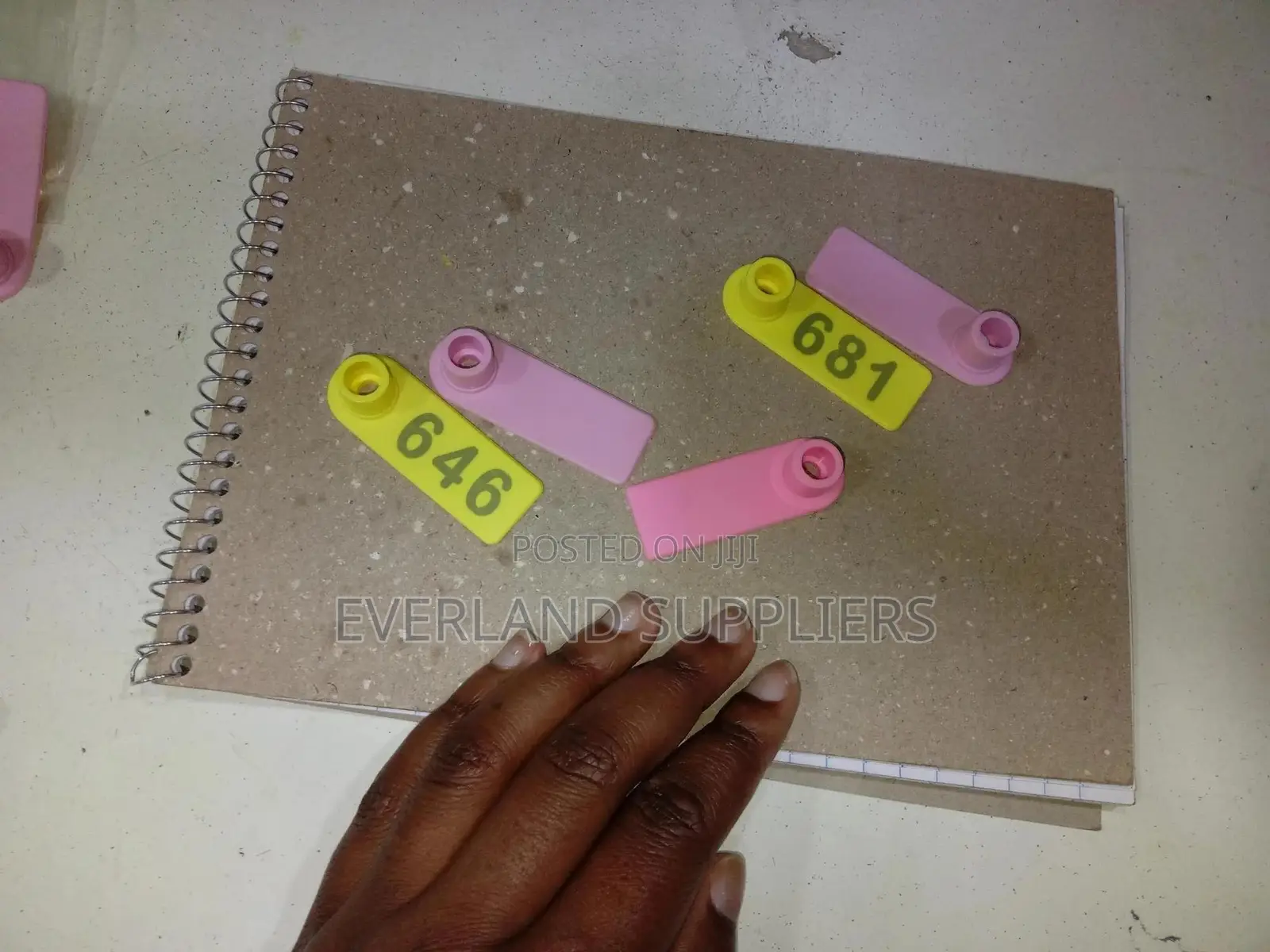 Ear Tags - Clear Number Display