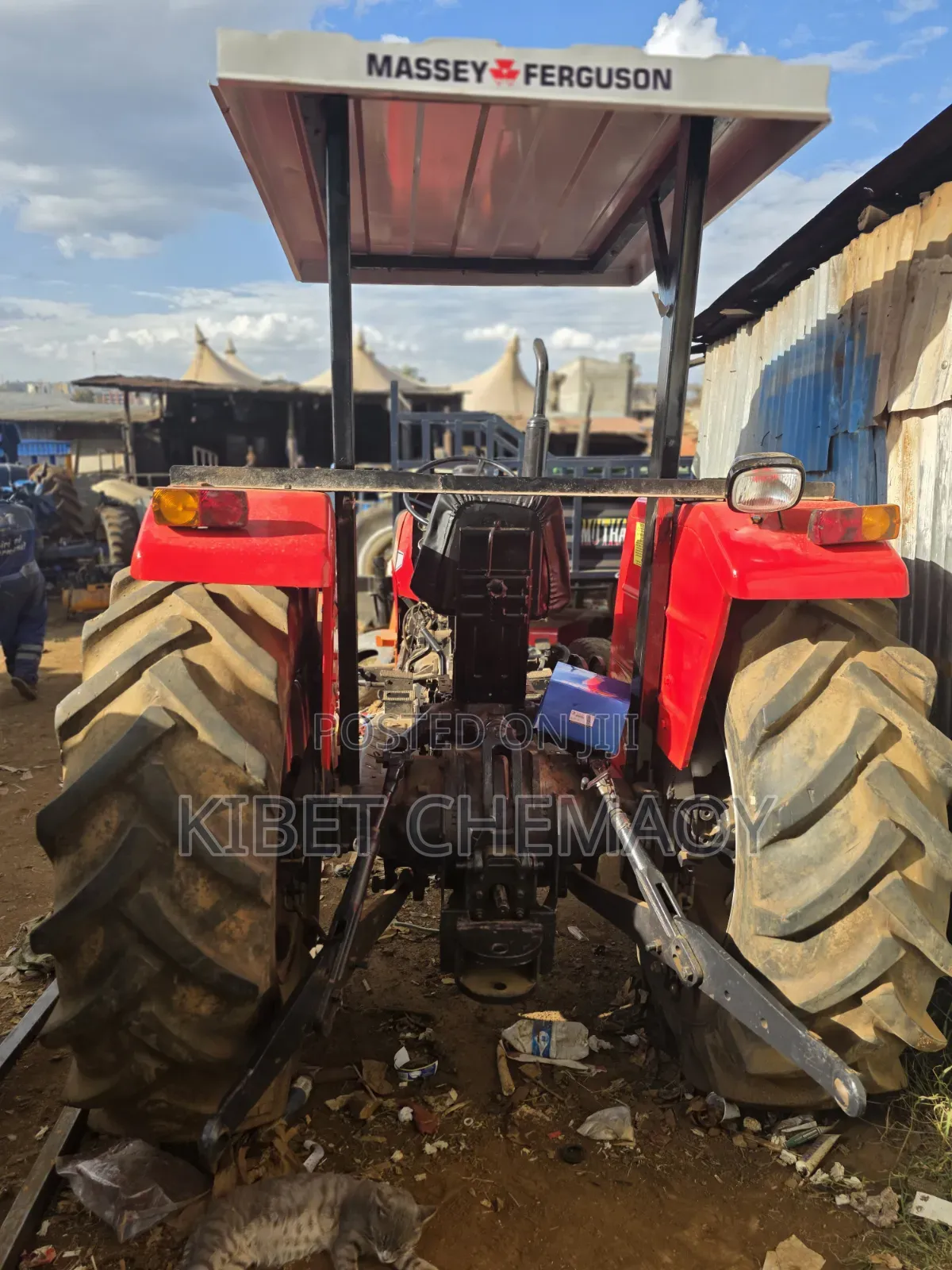 Massaey Fergusson 290