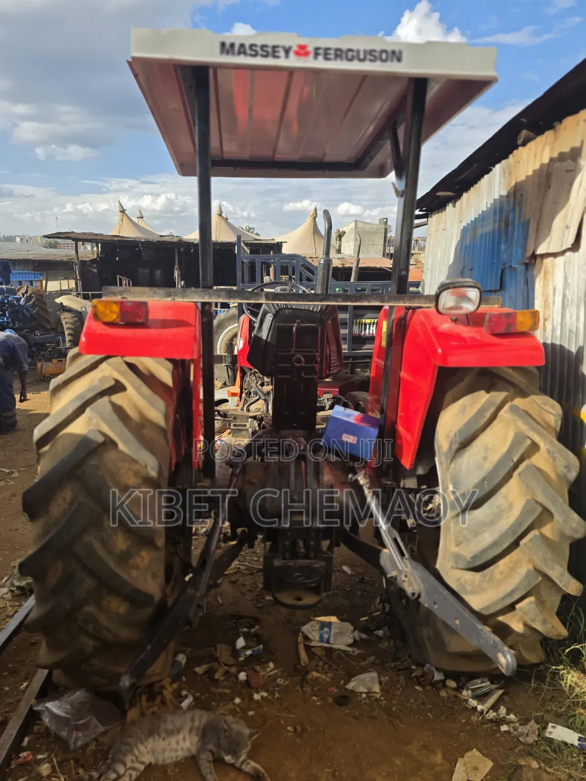 Massaey Fergusson 290