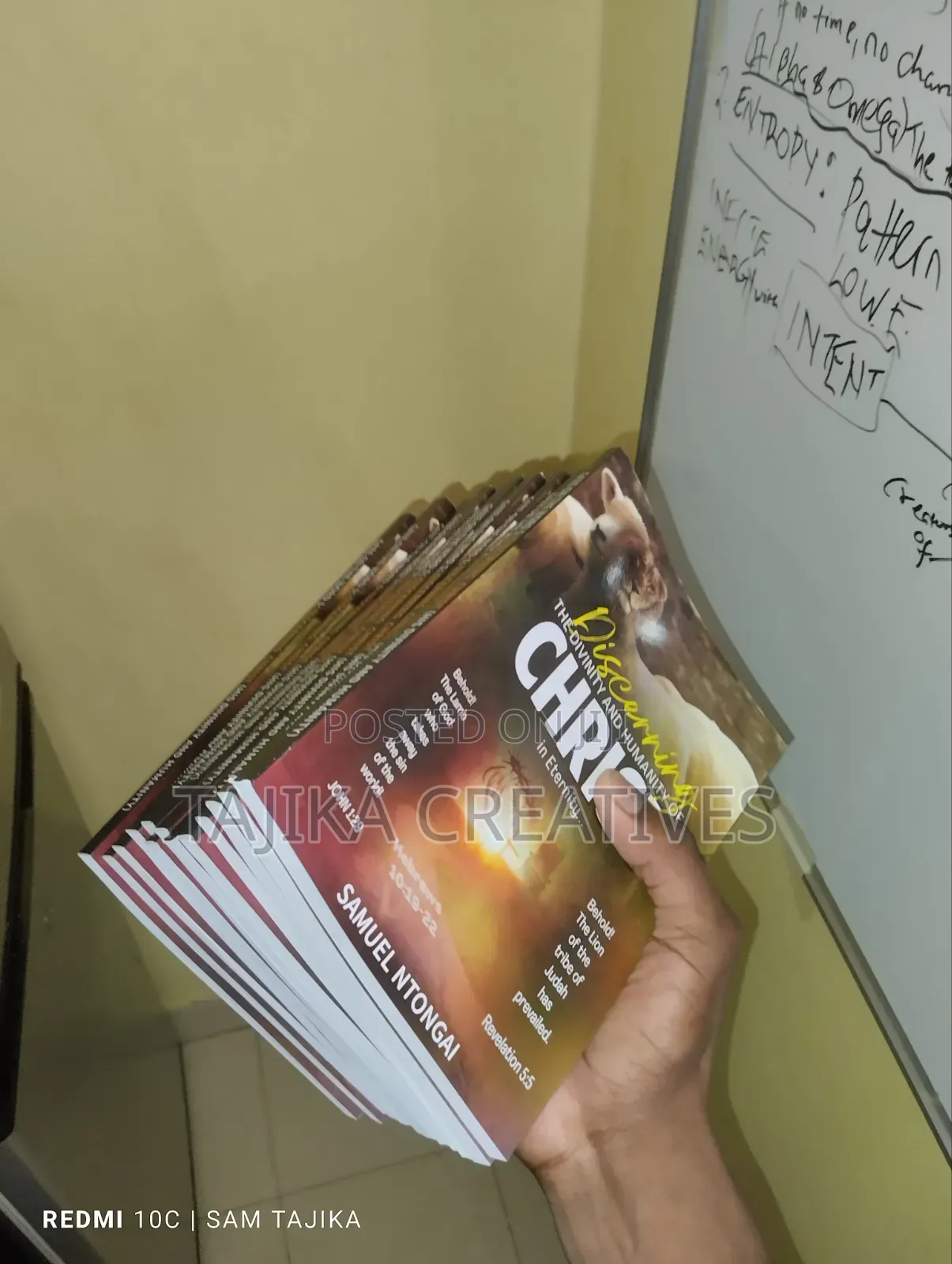 Discerning the Divinity and Humanity of Christ