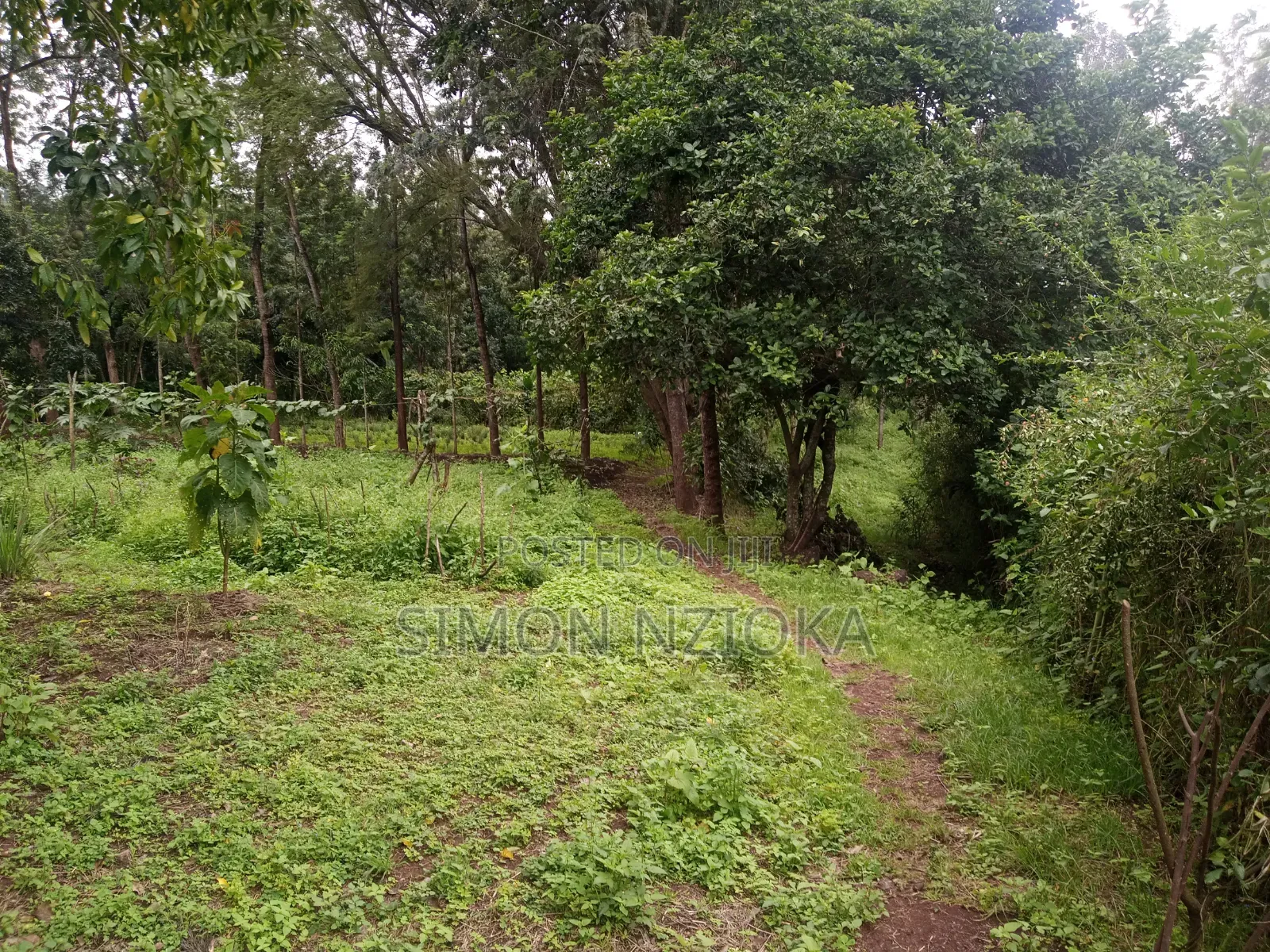 1 Acre for Sale in Karen, Nairobi