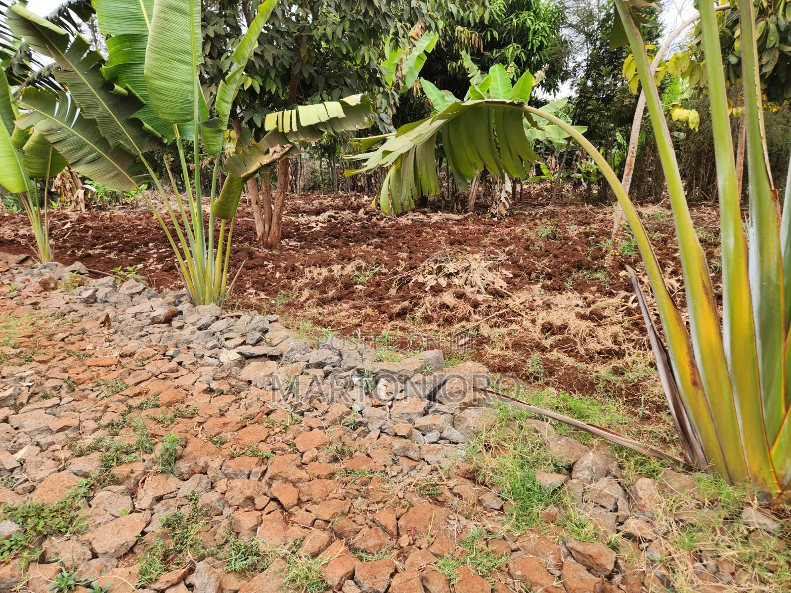 1.5 Acres in Gatundu