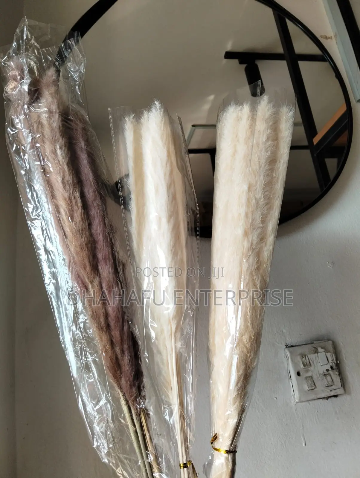Dried Mini Pampas Grass (10pcs)