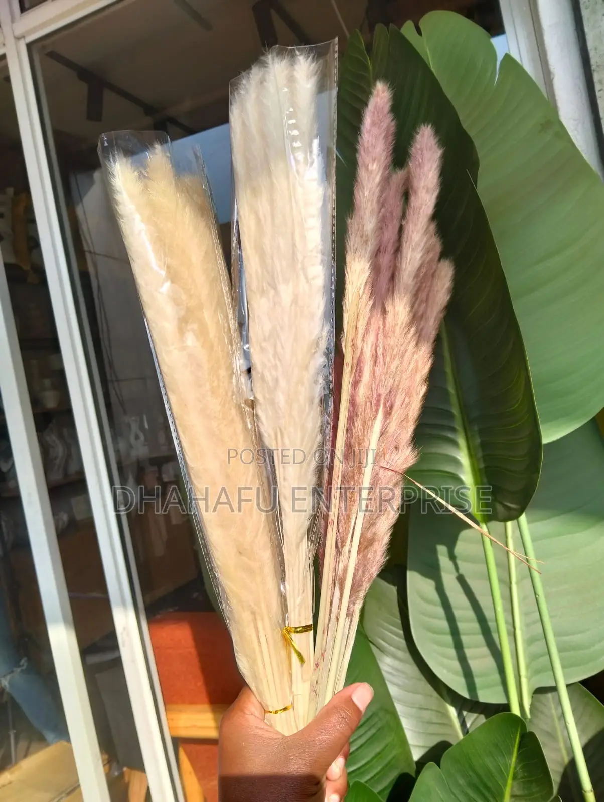 Dried Mini Pampas Grass (10pcs)